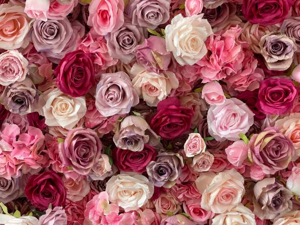 istock Background of roses 1369037267
