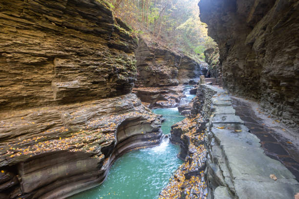Watkins Glen State Park Watkins Glen State Park in upstate New York has more than 800 steps on the Gorge Trail. watkins glen stock pictures, royalty-free photos & images