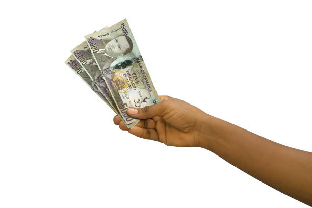 istock Fair hand holding 3D rendered Jamaican dollar notes isolated on white background 1369041467