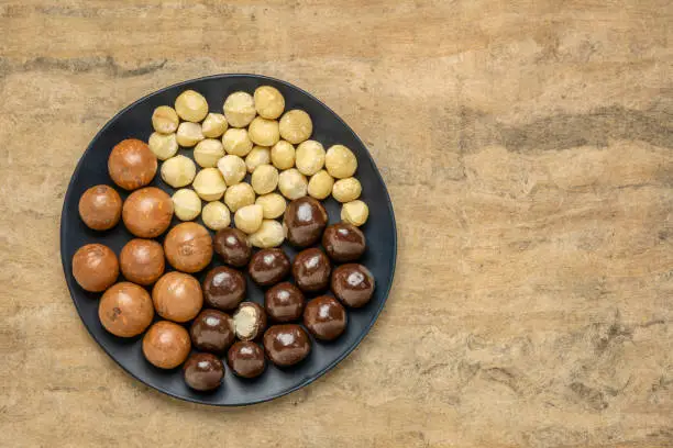 macadamia nuts in shells, shelled and dipped in dark chocolate on a black plate against buckskin textured paper background with a copy space