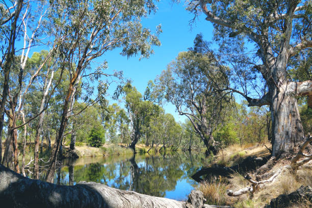 istock Horsham,  Victoria, Australia 1369041732