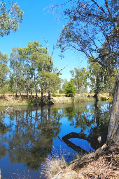 istock Horsham,  Victoria, Australia 1369041798