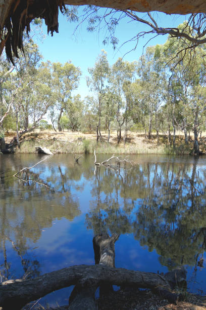 istock Horsham,  Victoria, Australia 1369041799