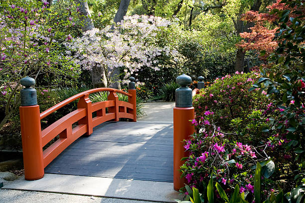 일본식 정원 스톡 사진