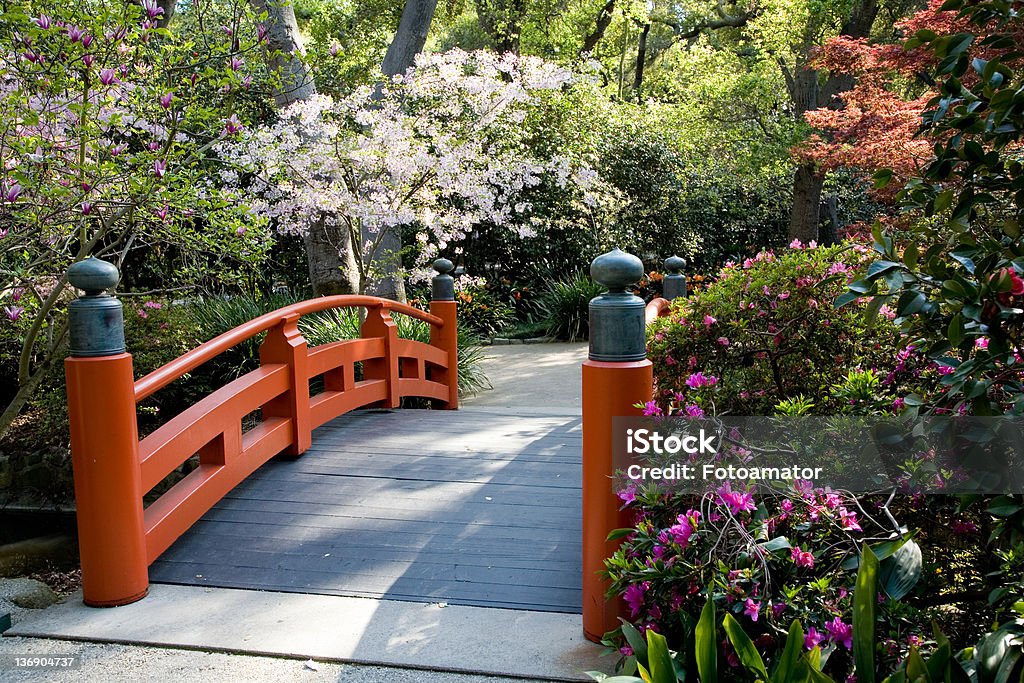 Japanese garden Footbridge in an Asian style garden with trees and bushes in spring bloom. Arch Bridge Stock Photo