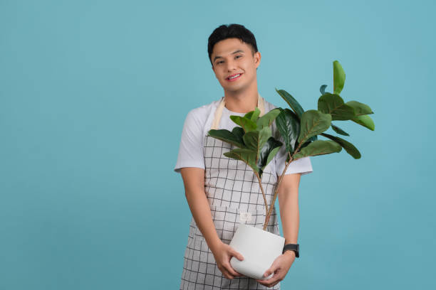 istock Asian young handsome gardener in white apron. Studio shot on light blue background 1369054066