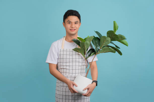 istock Asian gardener man holding tree isolated on light blue background with happy expression. 1369054067