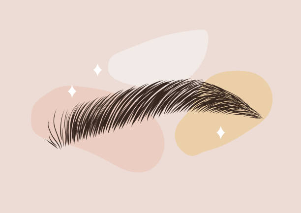 Brow studio logo. Sable style eyebrows. Permanent make-up and lamination. Linear vector Illustration in trendy minimalist style Brow studio logo. Sable style eyebrows. Permanent make-up and lamination. Linear vector Illustration in trendy minimalist style. eyebrow stock illustrations