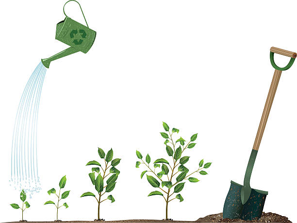 Arbor Day Concept Image with Watering Can and Sprouting Plants Arbor Day. Tree planting stages. sapling growing stock illustrations