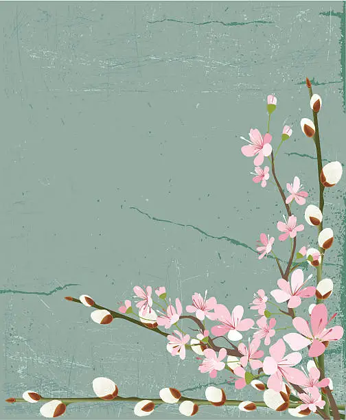 Vector illustration of Pussy willows and Cherry Blossoms