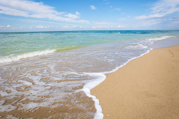istock Amazing beach  with endless horizon .Soft wave of blue ocean on sandy beach. Background. 1369064409