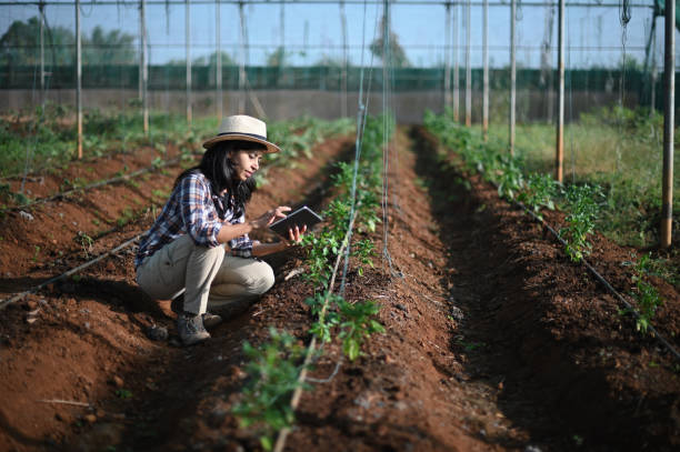 istock Female farm worker using digital tablet in greenhouse 1369065281