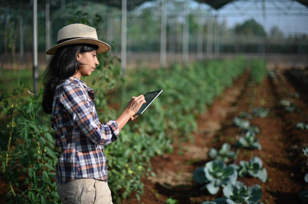 istock Female farm worker using digital tablet in greenhouse 1369065288