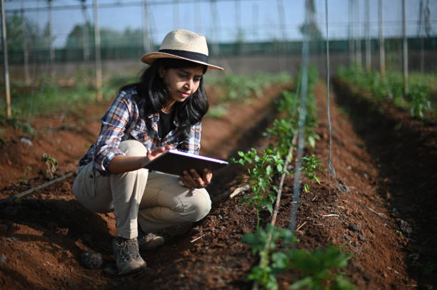 Female farm worker using digital tablet in greenhouse