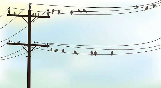 Vector illustration of Birds Perched On A Old Telephone Wire Pastel Sky Background