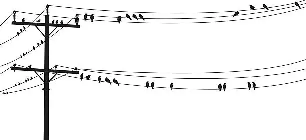 Vector illustration of Several B&W Birds Perched On A Old Telephone Wire