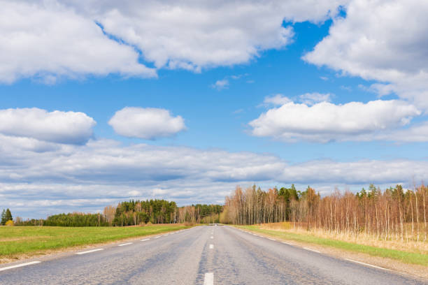 istock Asphalt road field and forest sunny white cloud blue sky shot. 1369073892