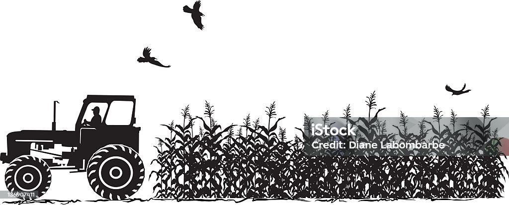 Trattore e campo di mais agricoltura sagoma isolato su bianco - arte vettoriale royalty-free di Fattoria