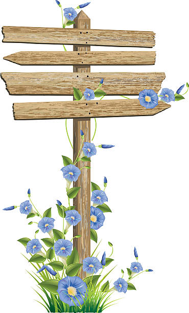 Old Sign with Flowers Old signpost with Morning glories climbing all over it. natural pattern photos stock illustrations