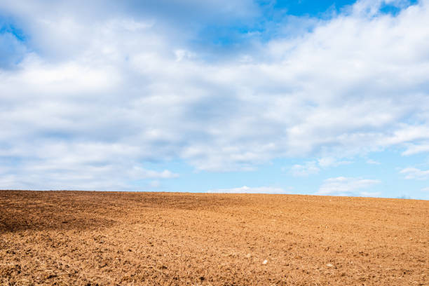 istock Plowed brown field and white clouds on blue sky.cloudy sky over brown field.Spring summer day. 1369074498
