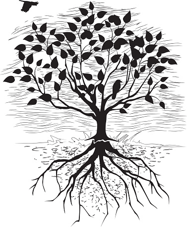 árbol de ramas y raíces clip art vector gratis árbol de ramas y raíces clip art vector gratis