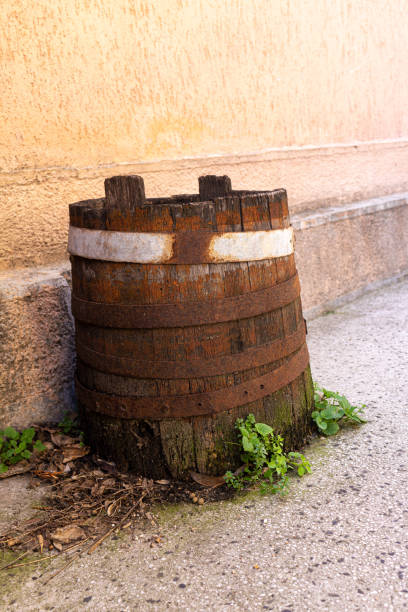istock Old wooden barrel used as pot 1369075339
