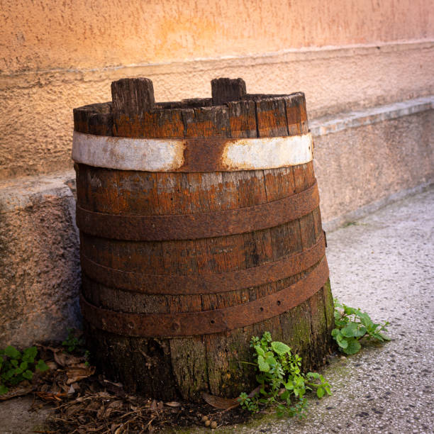 istock Old wooden barrel used as pot 1369075357