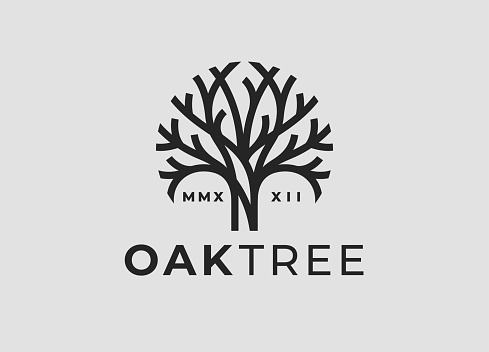 Oak tree line icon. Nature brand identity sign. Modern natural Oak wood symbol. Plant branch emblem. Vector illustration.