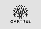 istock Oak tree line icon 1369075856