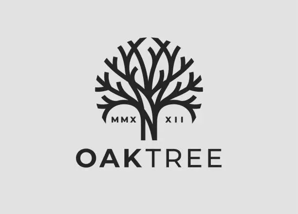 Vector illustration of Oak tree line icon