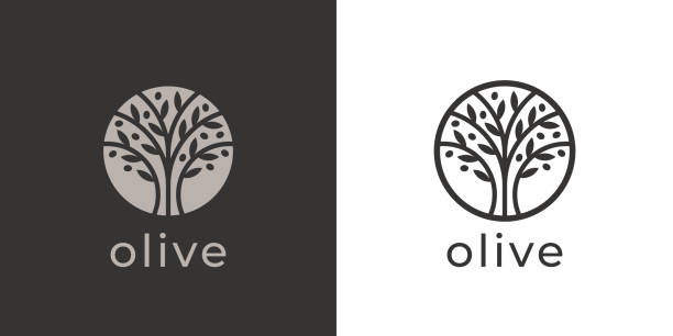 olivenbaum-symbol - olive olive tree olive branch food stock-grafiken, -clipart, -cartoons und -symbole