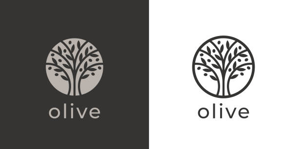 Olive tree icon Olive tree icon. Extra virgin olive oil label. Tree of life symbol. Organic branch brand identity. Plant leaf sign. Vector illustration. botanical spa treatment stock illustrations