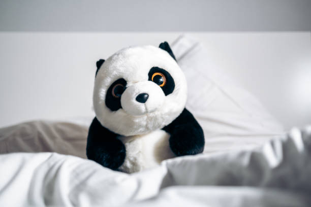 panda ours nounours dans un lit niché entre les couvertures et regardant la caméra - teddy panda bear photos et images de collection