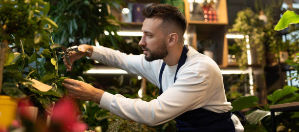 istock botanist at garden center caring for plants 1369079042