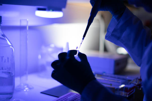 генетическая молекулярная лаборатория: исследование днк для выделения вариантов вируса - dna sequencing gel dna laboratory equipment analyzing стоковые фото и изображения