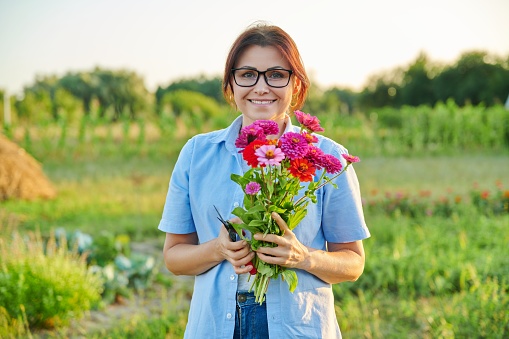 Smiling middle aged female holding a bouquet of fresh zinnia flowers in the garden, looking at the camera. Beauty of nature, gardening, hobby, floristry, people of mature age concept