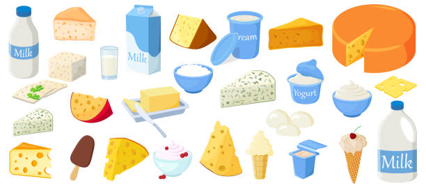 zestaw produktów mlecznych - dairy product illustrations stock illustrations