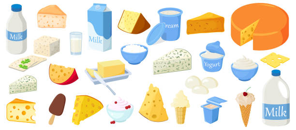 A set of dairy products A set of dairy products.Milk, yogurt,sour cream,cottage cheese,butter,ice cream,roquefort,parmesan, edam, tilsiter,camembert, gouda and mozzarella.Dairy products isolated on a white background. dairy product stock illustrations