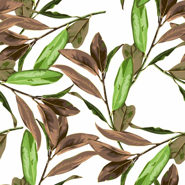 istock Floral seamless pattern, magnolia plant branches with leaves on white. Brown, pastel vintage theme. 1369081660
