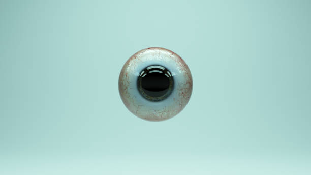 istock Eyeball Human Iris Cornea Pupil Dilation Anatomy Vision Reflection 1369082118