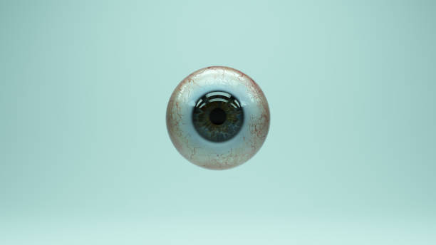 istock Eyeball Human Iris Cornea Pupil Anatomy Vision Reflection 1369082119
