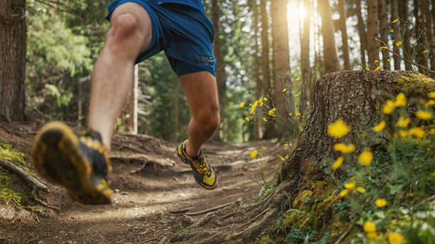 istock Man trail running in the forest 1369082258