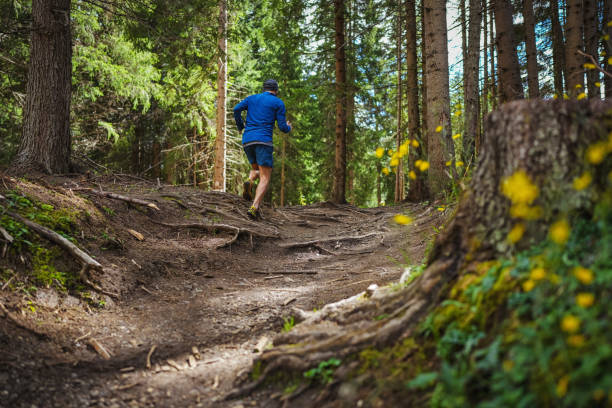 istock Man trail running in the forest 1369082397