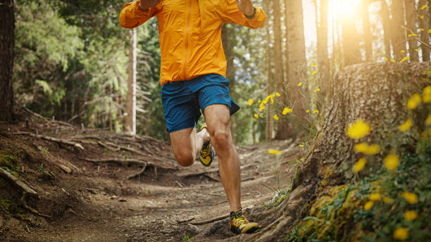 istock Man trail running in the forest 1369082458