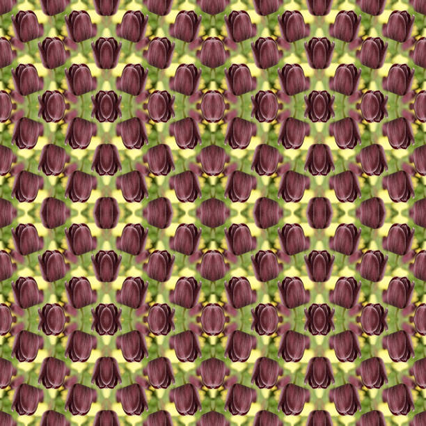 Seamless pattern with blooming dark brown tulips on a defocused natural background. Square framing