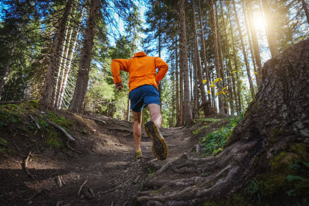 istock Man trail running in the forest 1369083245