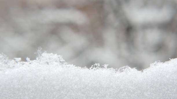 istock White snow flakes falling in winter, snowflakes of wintry Christmas snowfall. 1369083390