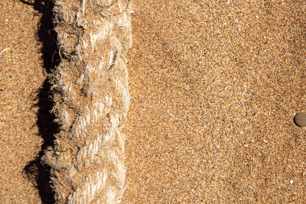 A large old rope covered with sand on the beach. copy space