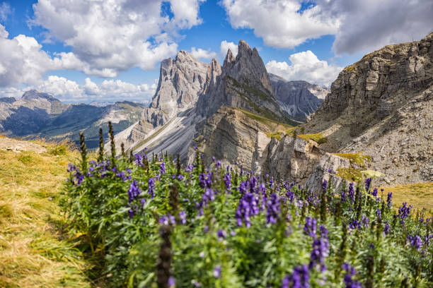 istock Seceda iconic outdoors landscape of the Dolomites 1369085520
