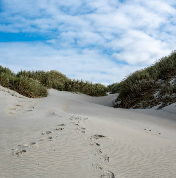 voetstappen zand duinen Texel